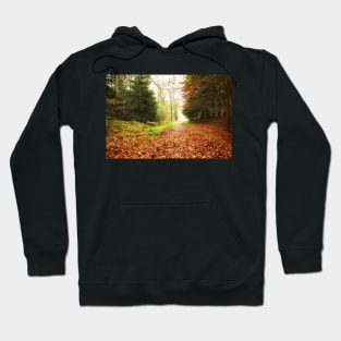 Leafy woodland path Hoodie